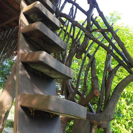 Forest Home Resort Ngwesaung Zewnętrze zdjęcie