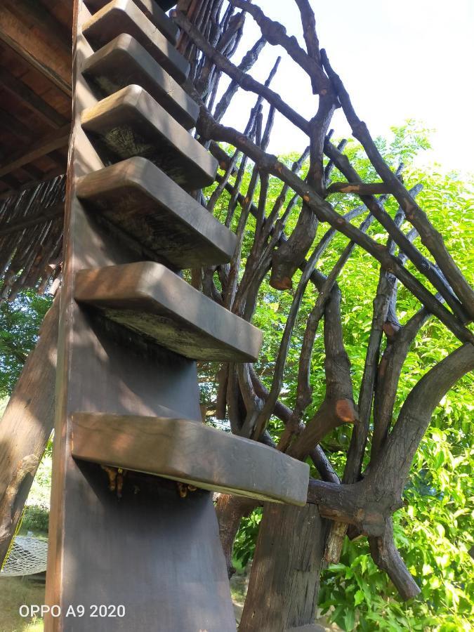 Forest Home Resort Ngwesaung Zewnętrze zdjęcie